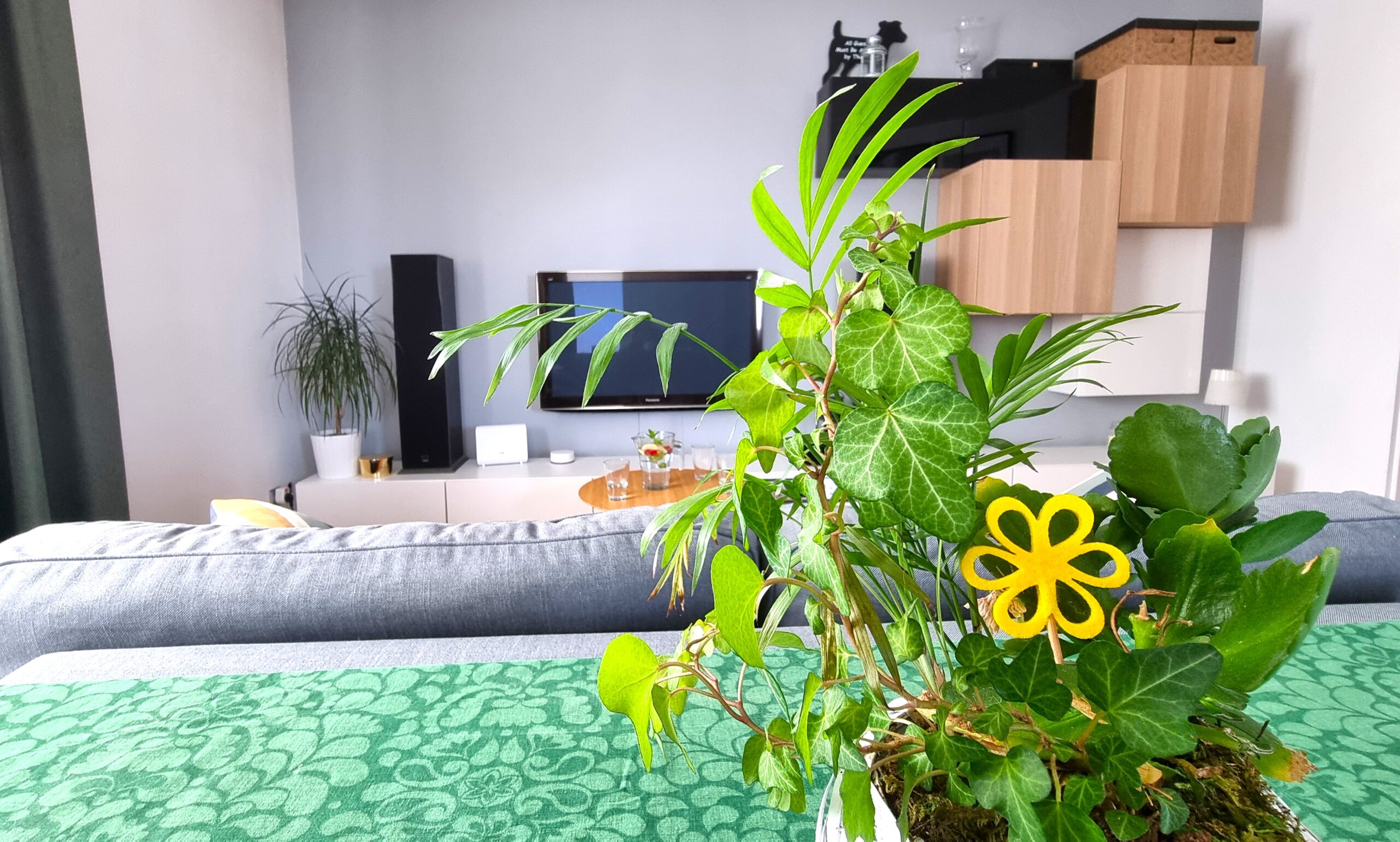 Atrakcyjne 2 pok. mieszkanie w TBS – Kórnik – partycypacja!